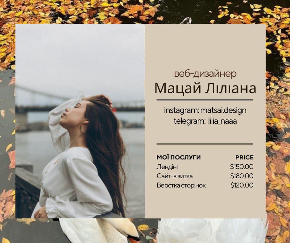 Web Designer Services