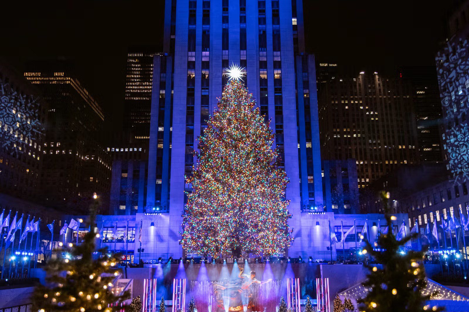 Графік та час запалення різдвяної ялинки у Rockefeller Center у 2024 році