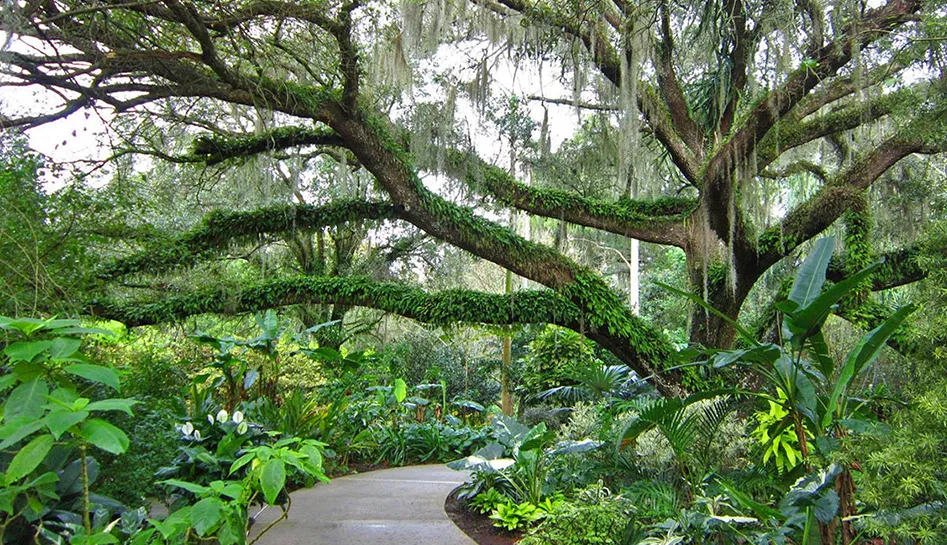 Harry P. Leu Gardens — ботанічний рай у самому серці Флориди
