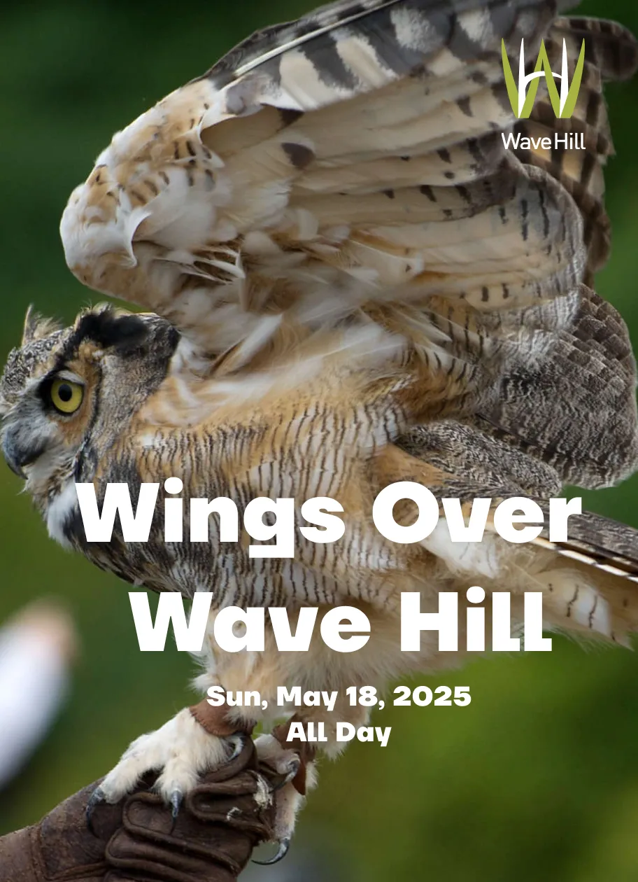 Wings Over Wave Hill