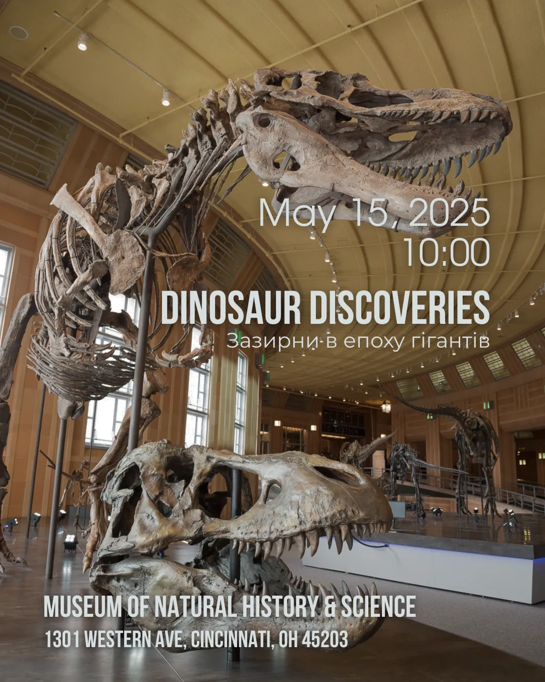 Dinosaur Discoveries