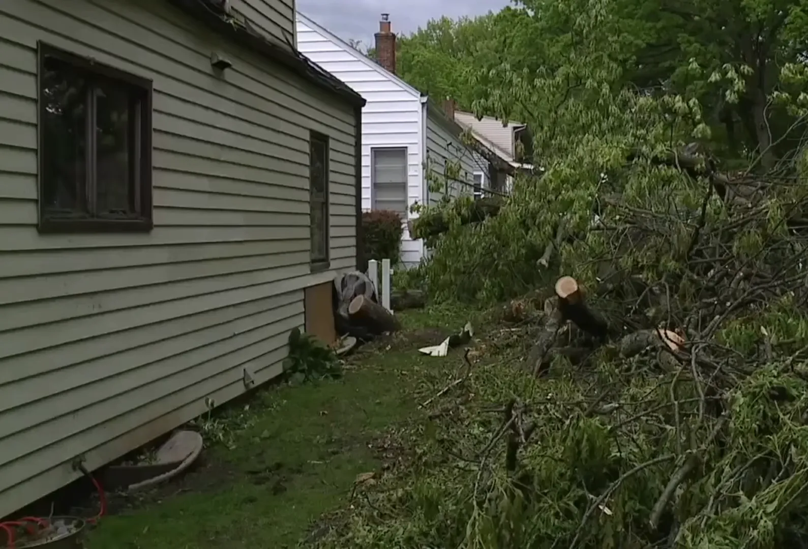 Night Storm in Kuyahoga Falls: Tree Penetrates House, but Family Saved Miraculously