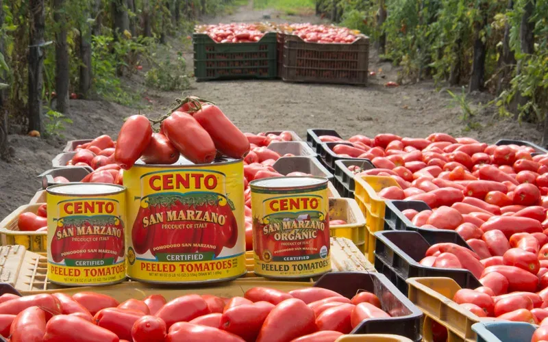 Cento Fine Foods: Історія справжнього смаку Італії в серці Америки