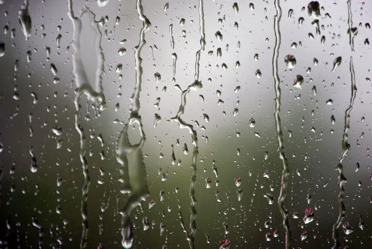 Weather forecast: Monday, July 14, light rain is expected tonight