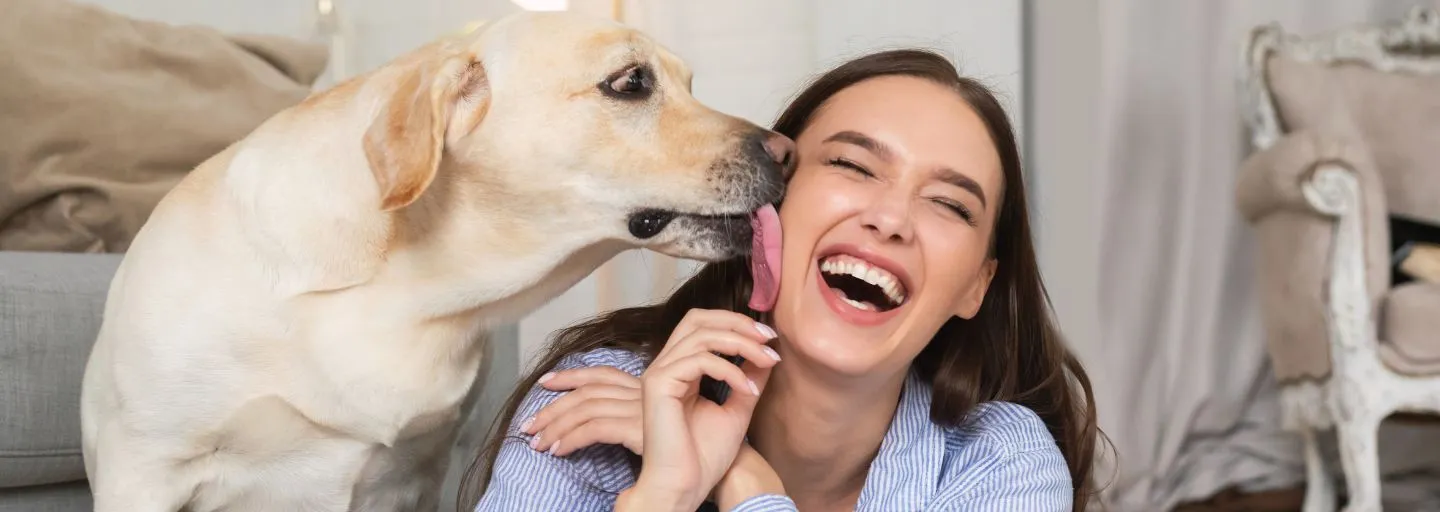 Secrets of the Dog Kiss: Why Your Four-Legged Friend Licks You and How to Control It