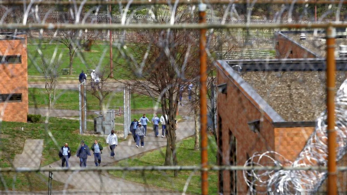 Criminal or Victim? The Federal Court Decides the Fate of the Trafficker with a Traumatic Past